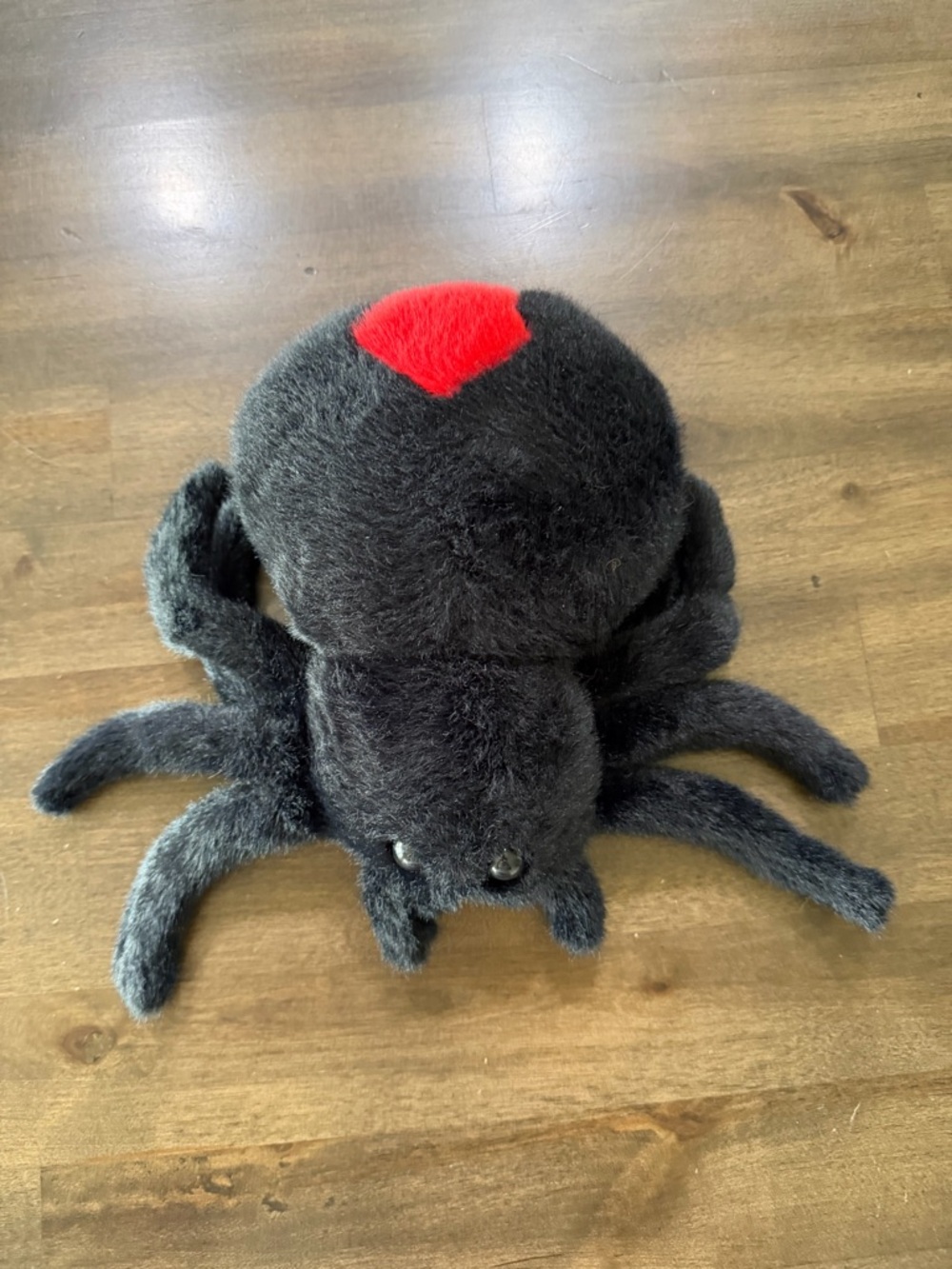 Spider Black and Red 10" Plush #260906 - Picture 7 of 8